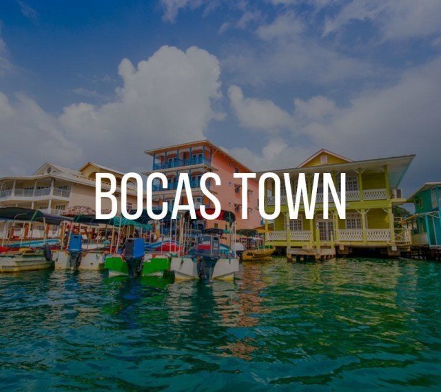 bocas town
