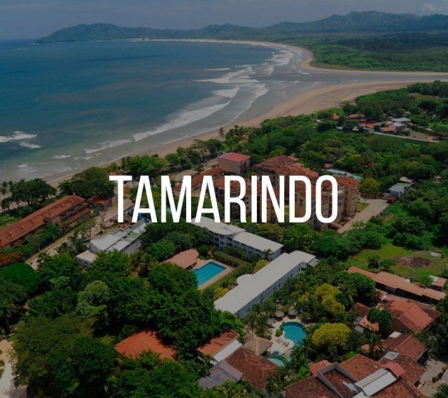 Tamarindo