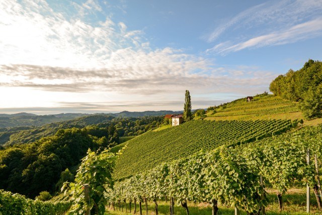 Feriebolig-Burgenland