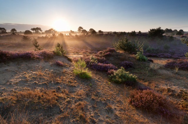 Feriebolig-Drenthe