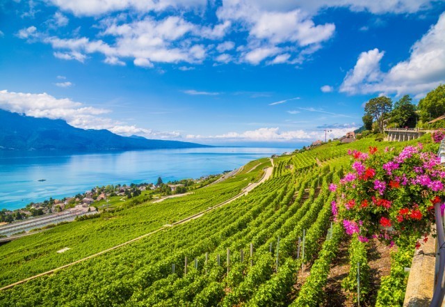Feriebolig-Vaud