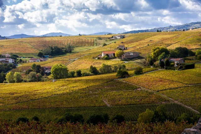 Sommerhus-Rhone-Alpes